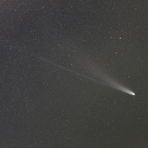 C/2025 A6 (Lemmon彗星) 11月7日