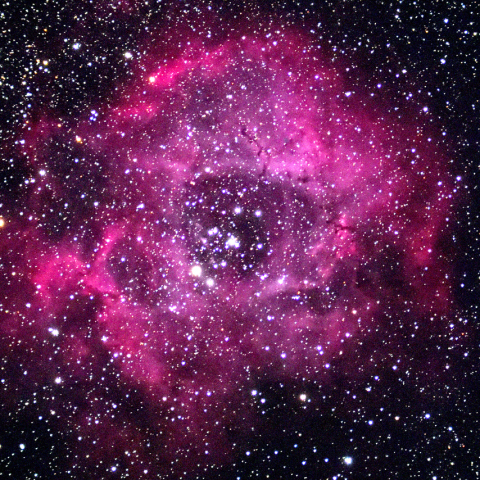 バラ星雲10月14日