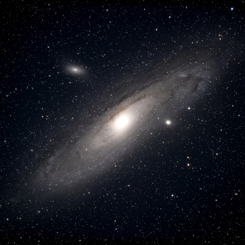 M31