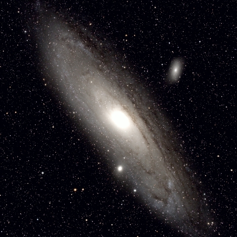 M31