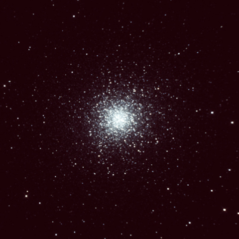M13