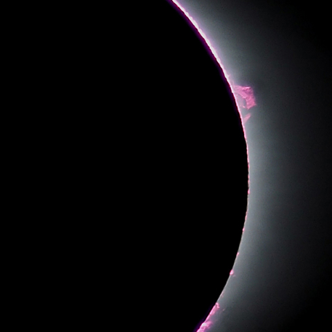 皆既中のプロミネンス