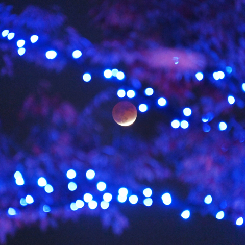イルミネーションに浮かぶ月食