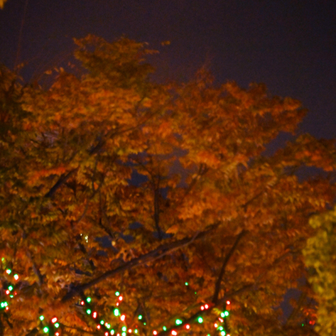 紅葉に浮かぶ月食