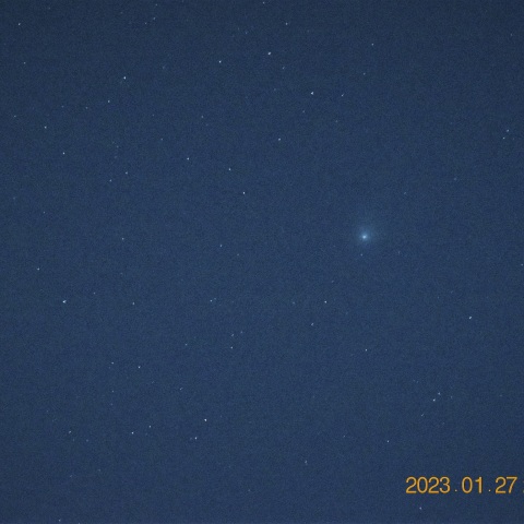 ＺＴＦ彗星　ようやく撮れた