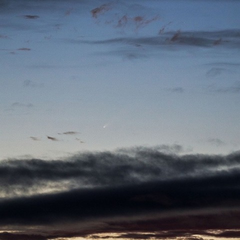  紫金山・アトラス彗星（C/2023 A3）