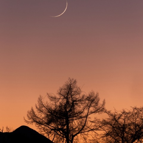 細い月（月齢1.5）