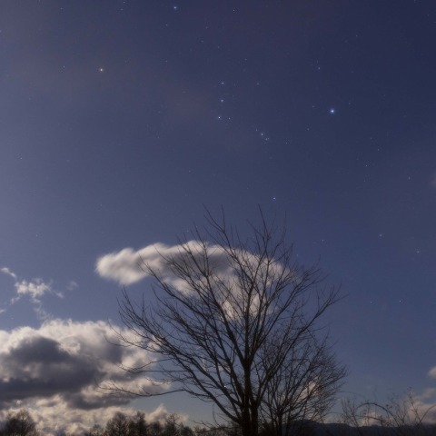 月明かりのオリオン座