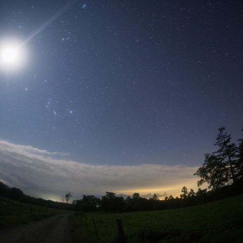 遊歩道からみる冬の星々