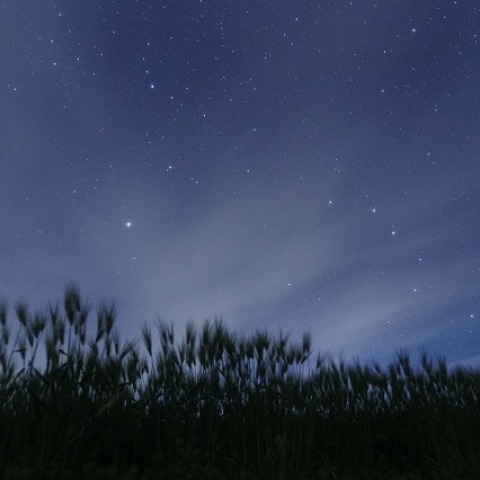 麦星と北斗七星