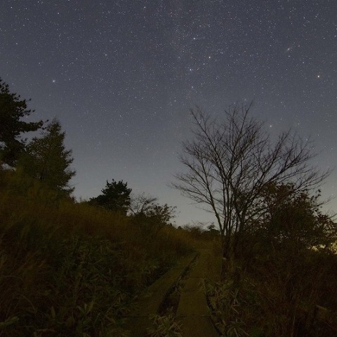 カシオペヤの散歩みち