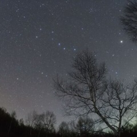 北斗七星とアルクトゥールス