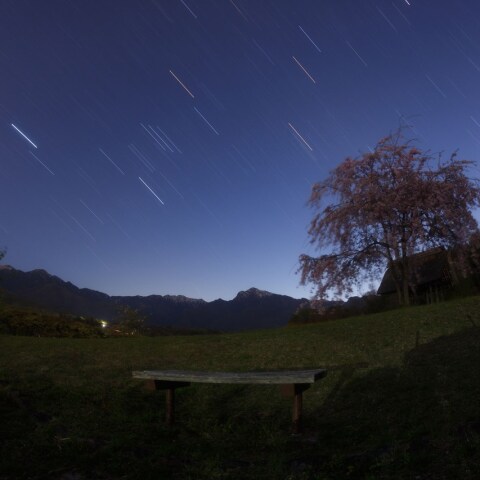 去りゆく冬と桜