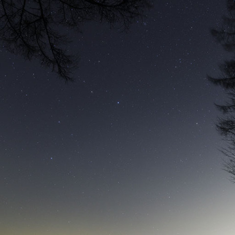 しし、かに、うみへび