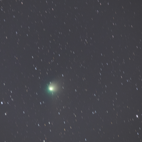 ZTF彗星（2023-01-29）