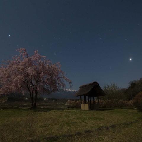 去りゆく冬の星座
