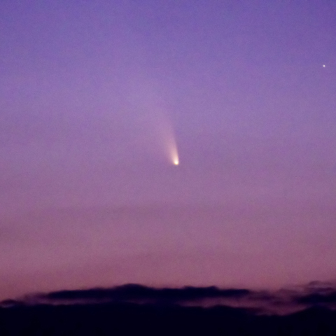 パンスターズ彗星