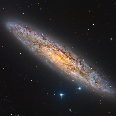 NGC253