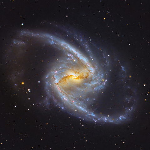 NGC1365