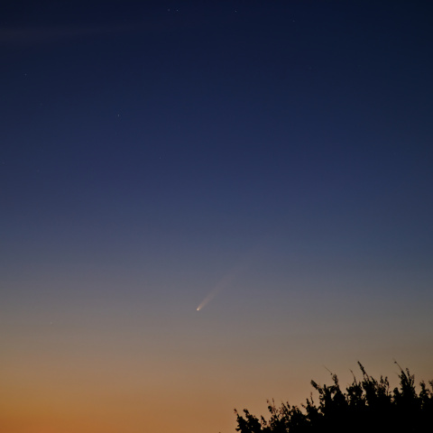 10月2日の紫金山・アトラス彗星