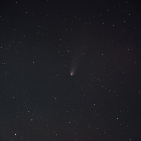 11月4日の紫金山・アトラス彗星
