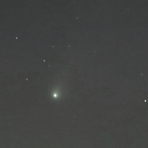 13Pオルバース彗星