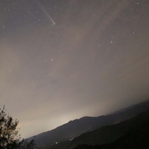 紫金山・アトラス彗星