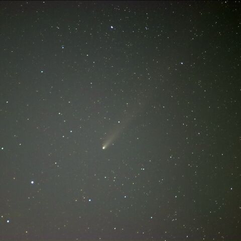 紫金山・アトラス彗星