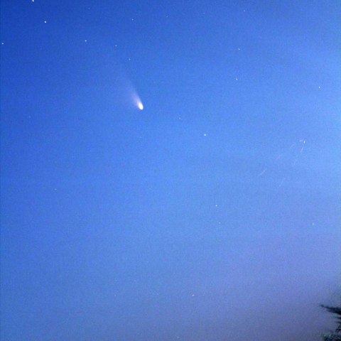 パンスターズ彗星2011 L4自宅より撮影