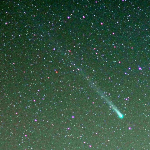 ラブジョイ彗星Ｃ／2013　Ｒ１