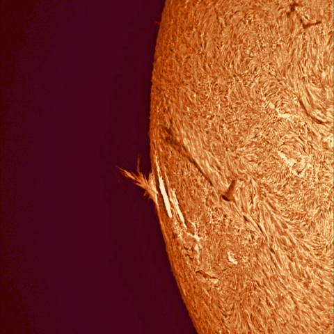 10月27日の太陽面
