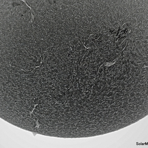 11月1日の太陽面