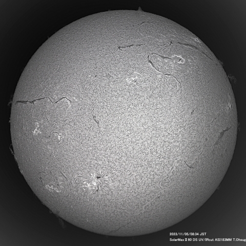 11月5日の太陽面