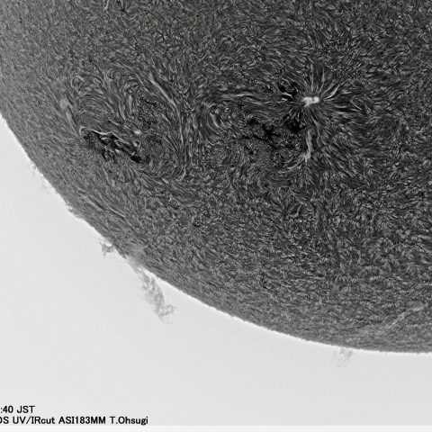 11月5日の太陽面