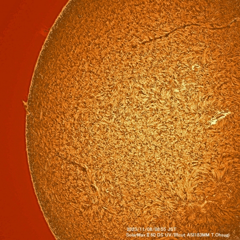11月8日の太陽面