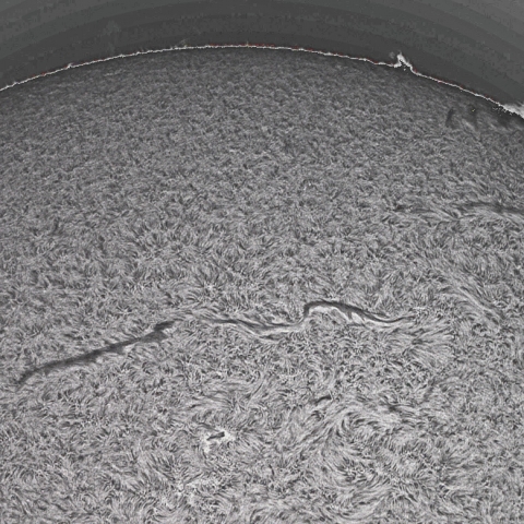 11月9日の太陽面