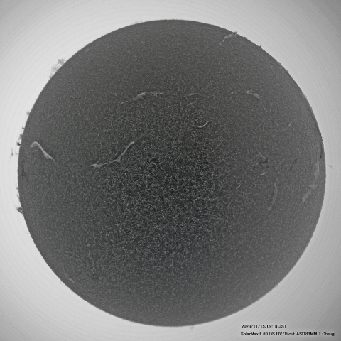 11月15日の太陽面