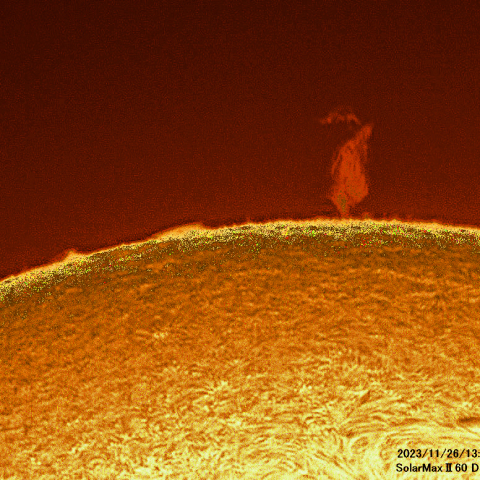 11月26日の太陽面