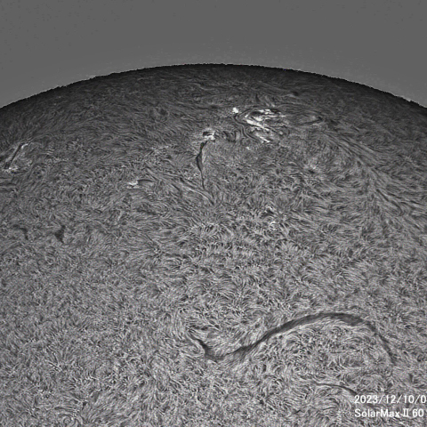 12月10日の太陽面