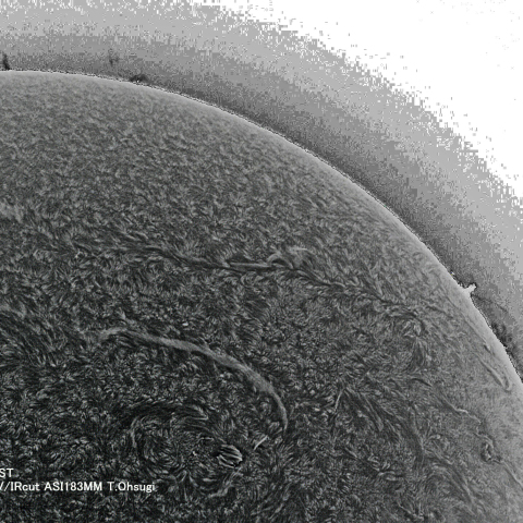 12月28日の太陽面