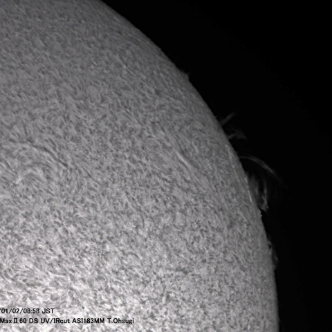 1月2日の太陽面