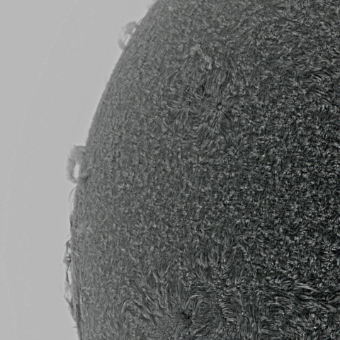 1月9日の太陽面