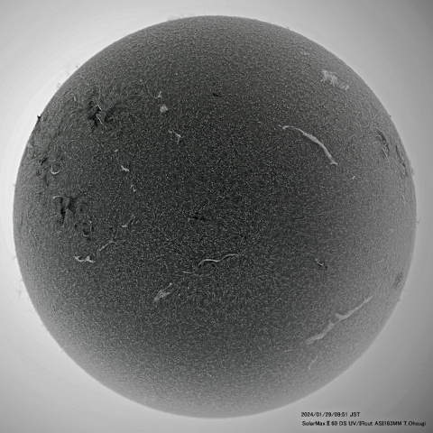 1月29日の太陽面