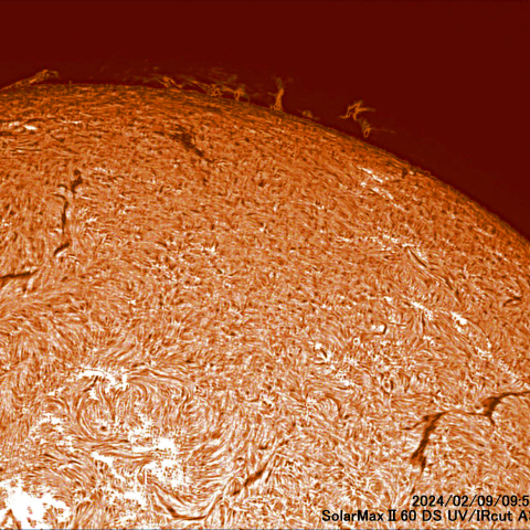 2月9日の太陽面