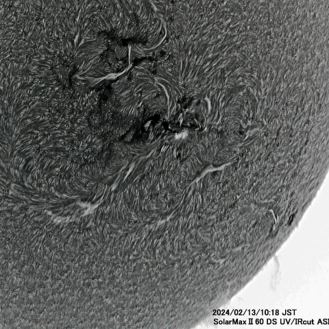 2月13日の太陽面