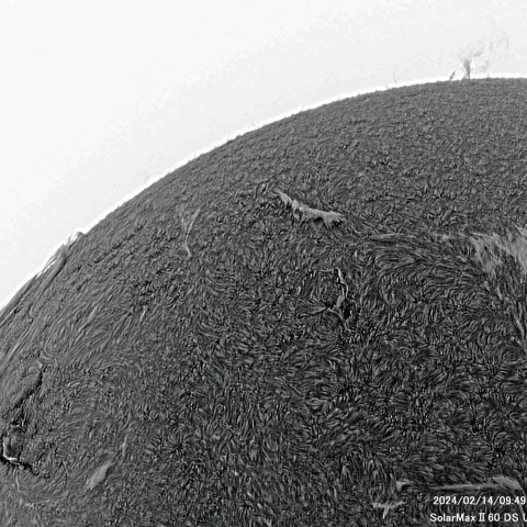 2月14日の太陽面