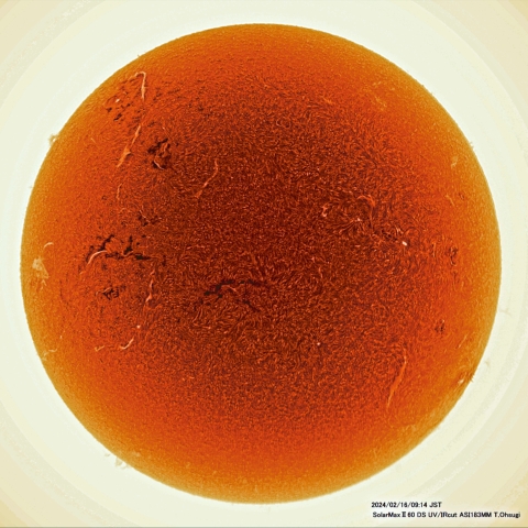 2月16日の太陽面