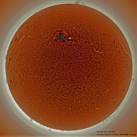 2月24日の太陽面