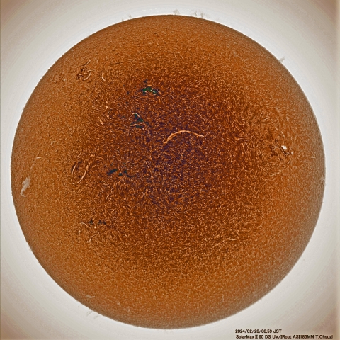 2月28日の太陽面