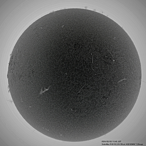 3月2日の太陽面